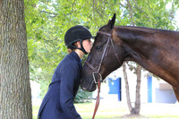 Fair Horse Portraits